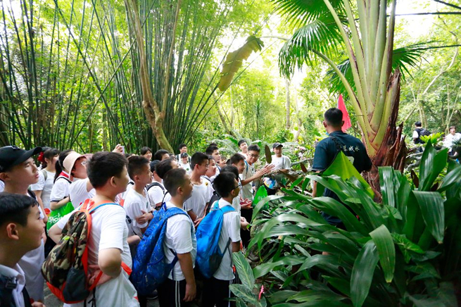 笃行少年探秘雨林，三亚市第九小学六年级呀诺达研学之旅圆满结束