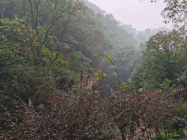 眉山青神县中岩寺游