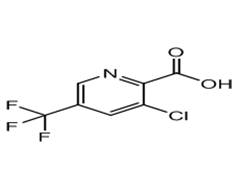 3-CHLORO-5-(TRIFLUOROMETHYL)PYRIDINE-2-CARBOXYLIC ACID