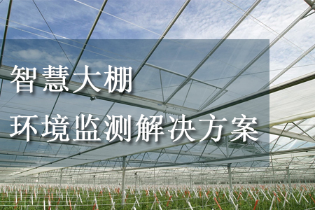 智慧大棚環境監測解決方案