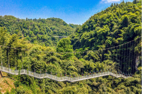 【岛岛的旅行日记】一路翠岭和幽溪，川西竹海等你来
