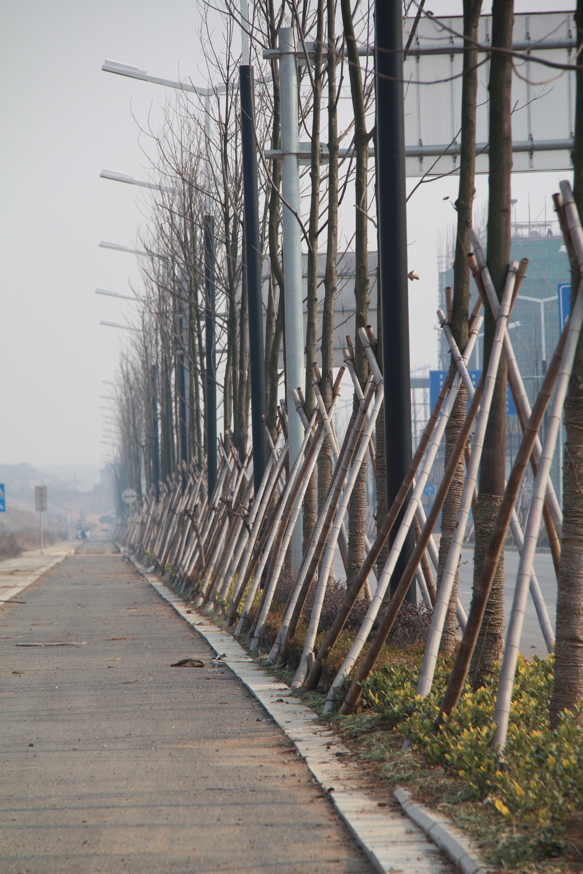 淮安市盱眙县香樟路及圣山路东延段工程