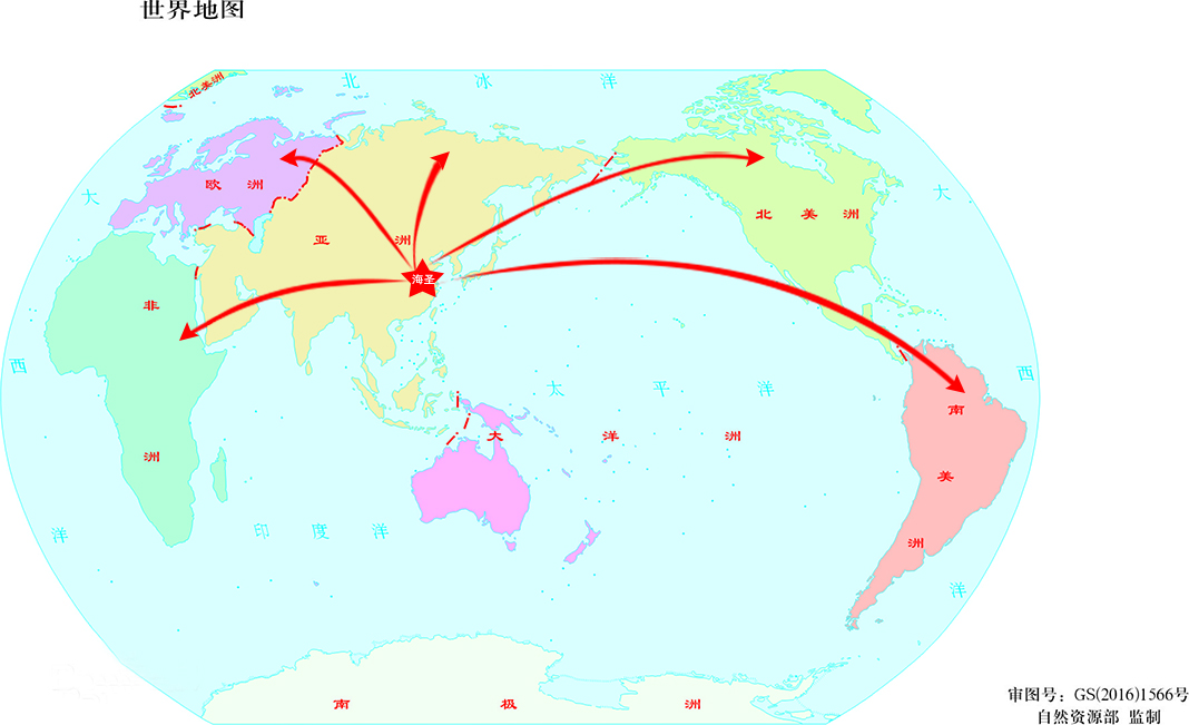 SALES NETWORK