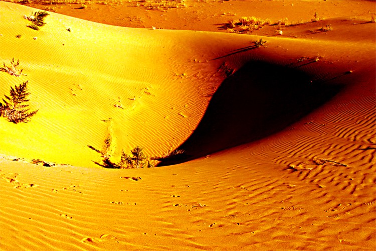 你知道库布齐沙漠的形成原因吗