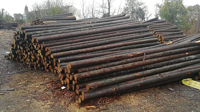 生態木樁批發