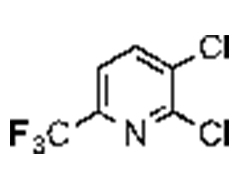 2,3-dichloro-6-(trifluoromethyl)pyridine