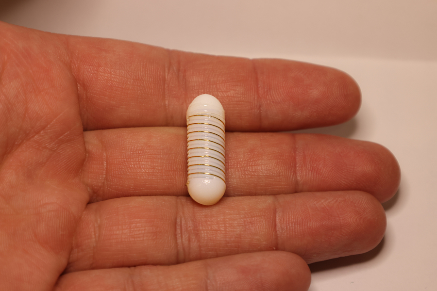 麻省理工學(xué)院:可攝入的“電療”膠囊刺激饑餓調(diào)節(jié)激素