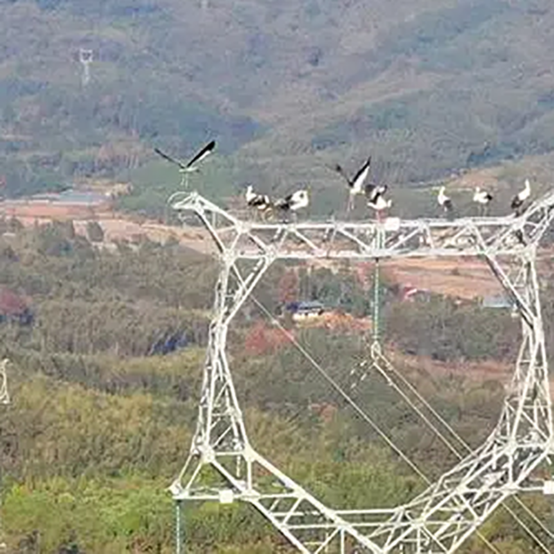 A new form of bird repellent:Overhead transmission line anti-bird damage device