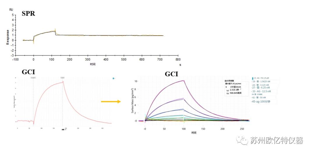 GCI,SPR,BLI動力學檢測真實案例分享