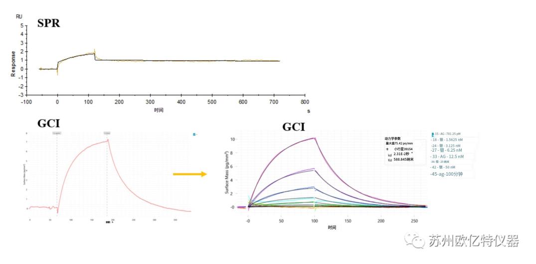 GCI,SPR,BLI动力学检测真实案例分享