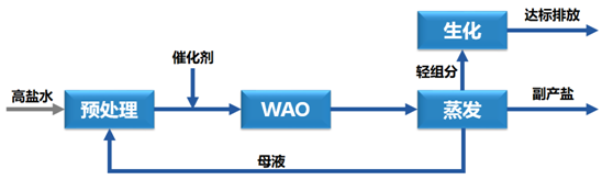 多尺度强化湿式氧化