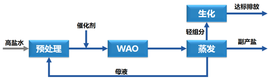 多尺度強(qiáng)化濕式氧化