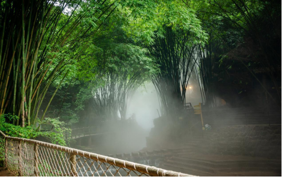 【岛岛的旅行日记】一路翠岭和幽溪，川西竹海等你来