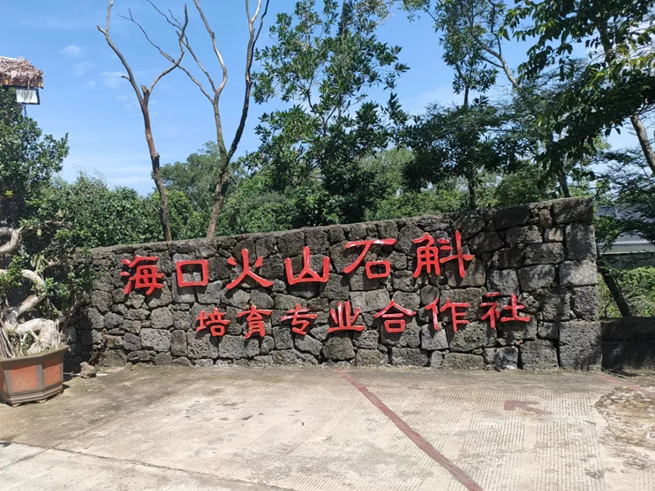 海口市市场监管局开展有机产品认证“力助产业之兴 乐享生态之美”活动