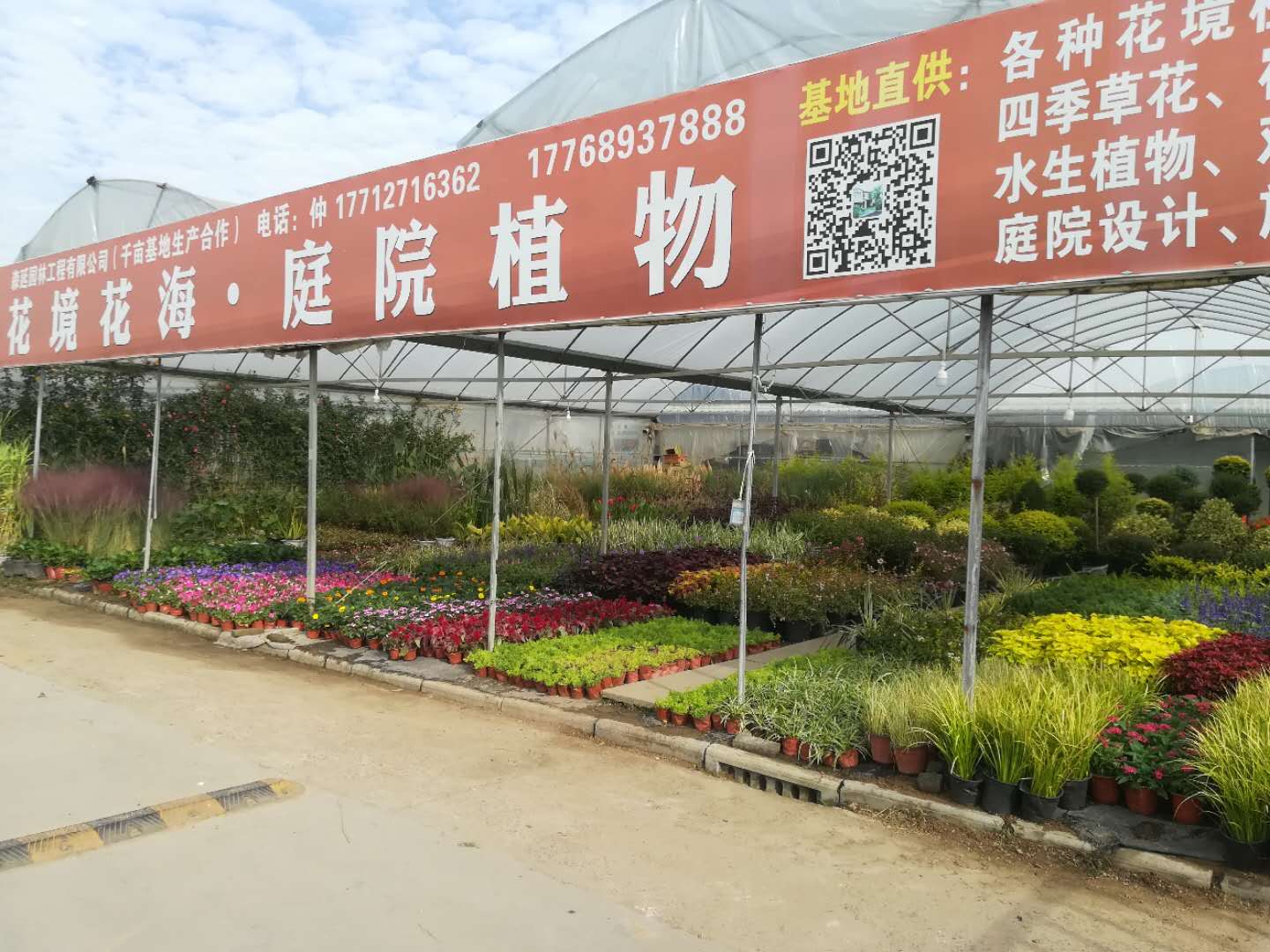 沭阳:疫情之后的复苏 花木产业拉长产业链 沭阳:疫情之后的复苏 花木产业拉长产业链