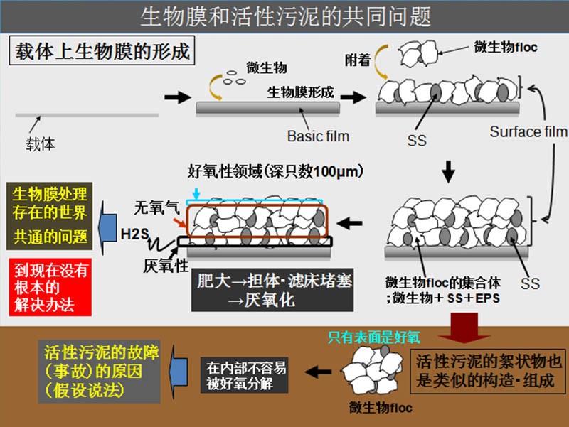 好氧工藝的共通問題