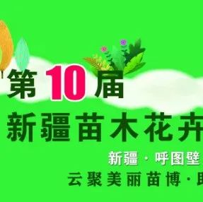 新疆苗博会：第十届新疆苗木花卉博览会将于9月28日云端开幕