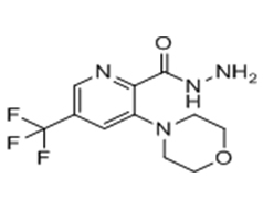 3-morpholino-5-(trifluoromethyl)picolinohydrazide  3-吗啉基-5-三氟甲基吡啶-2-甲酰肼