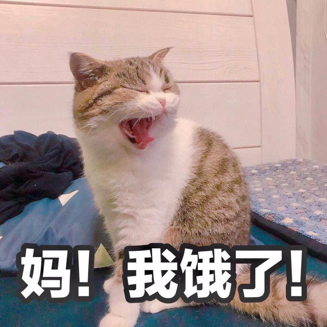 媽 我餓了！