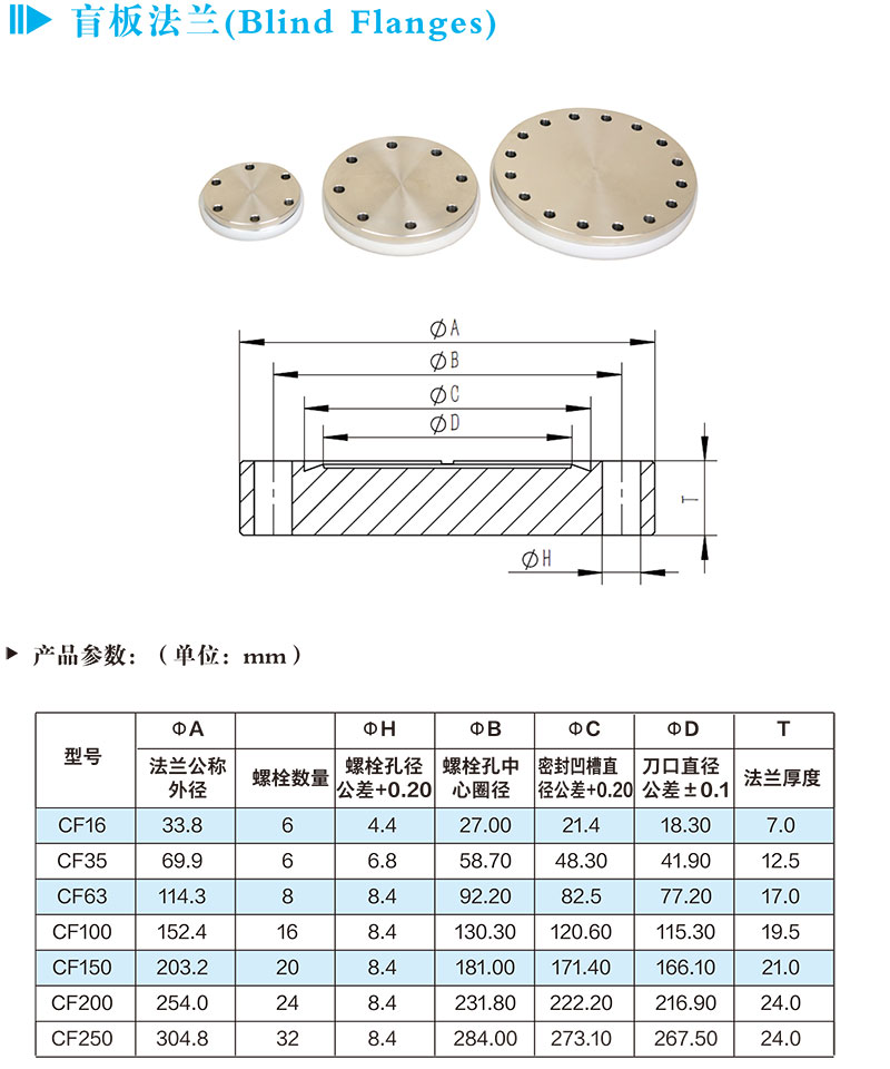 盲板法蘭（Blind Flanges）