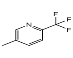 5-METHYL-2-TRIFLUOROMETHYL PYRIDINE