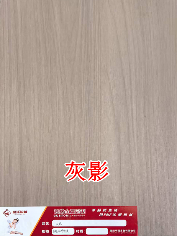 灰影
