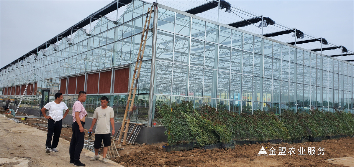 玻璃温室造价及厂家施工安装