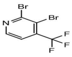 2,3-DIBROMO-4-(TRIFLUOROMETHYL)PYRIDINE