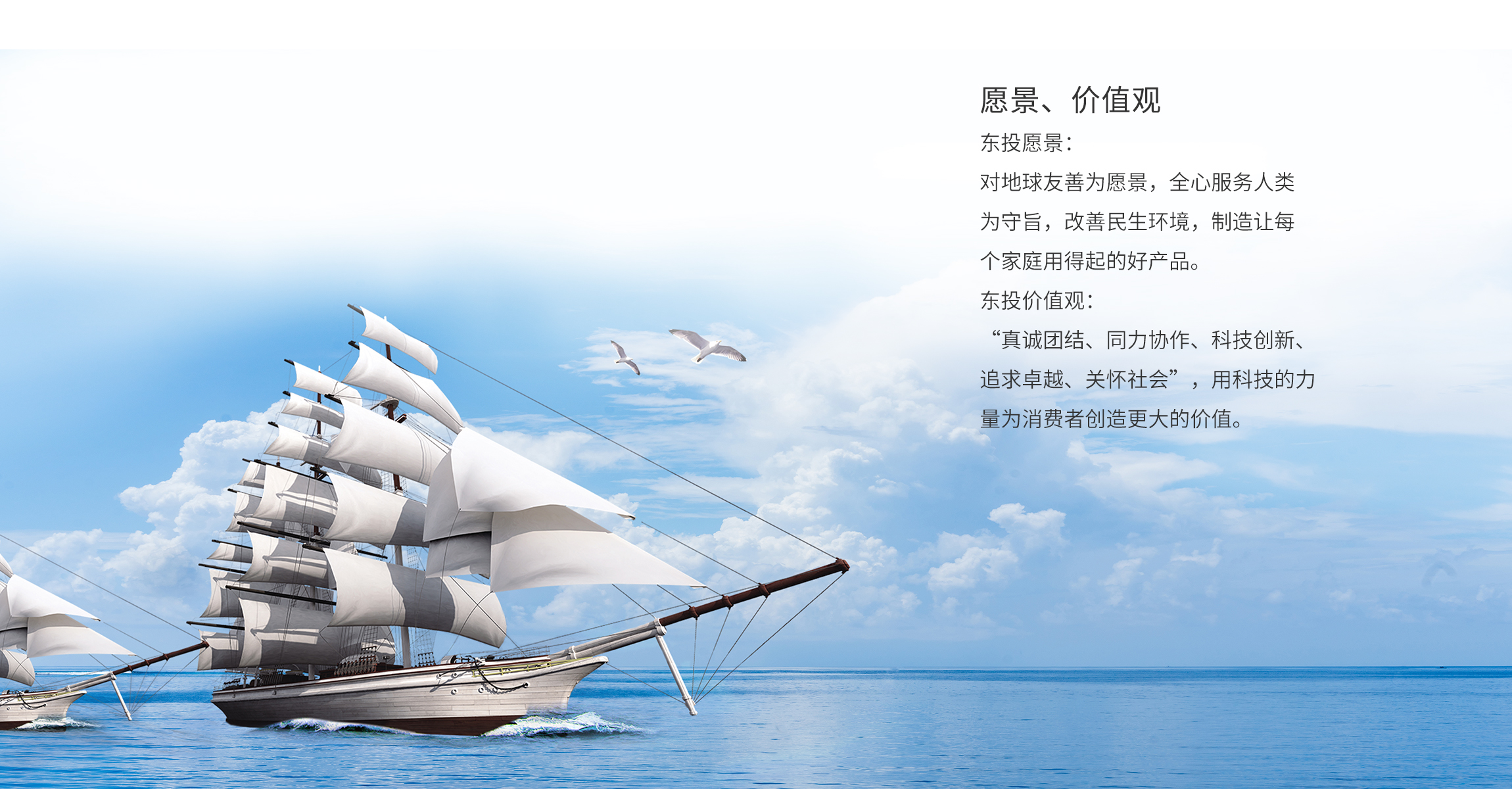 公司文化