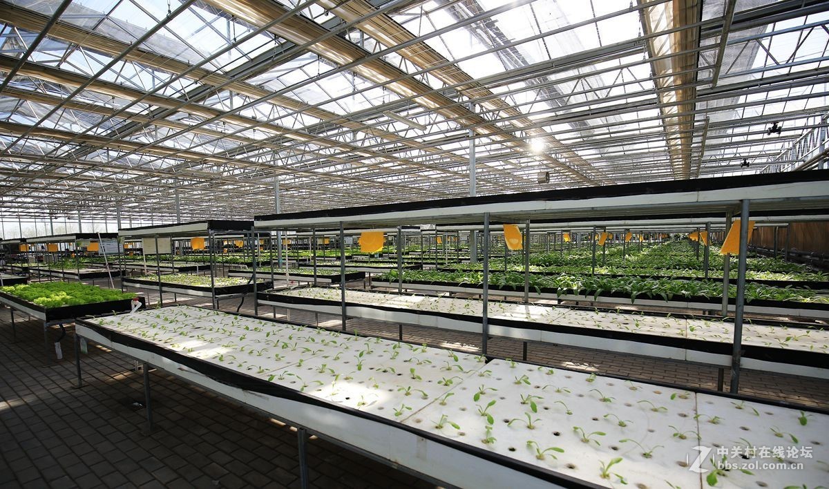采用玻璃温室种植有什么优势？