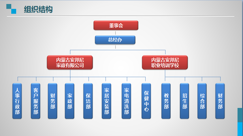 組織架構(gòu)
