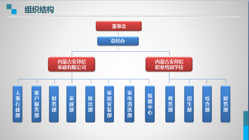 组织架构