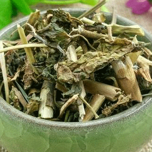 泽漆