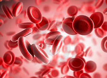 白血病与造血干细胞方法介绍