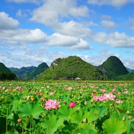 生命重于泰山：有限空间应急实战演练硬核来袭