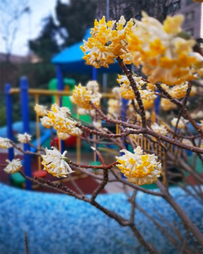 寫給未來(lái)的你