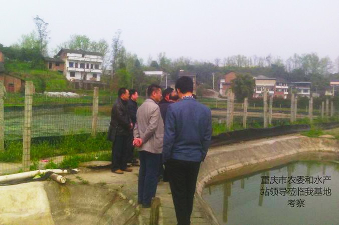 重庆市农委和水产站领导莅临我基地考察