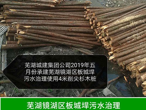 污水治理用杉木樁