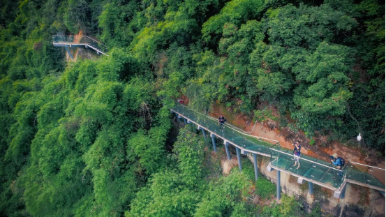 【岛岛的旅行日记】一路翠岭和幽溪，川西竹海等你来