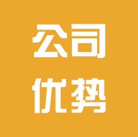 公司优势