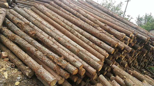 木桩施工
