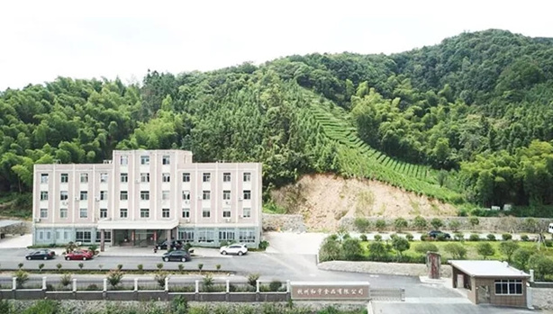 【案例分享】食品行业—数字化转型焕发酱鸭荣光