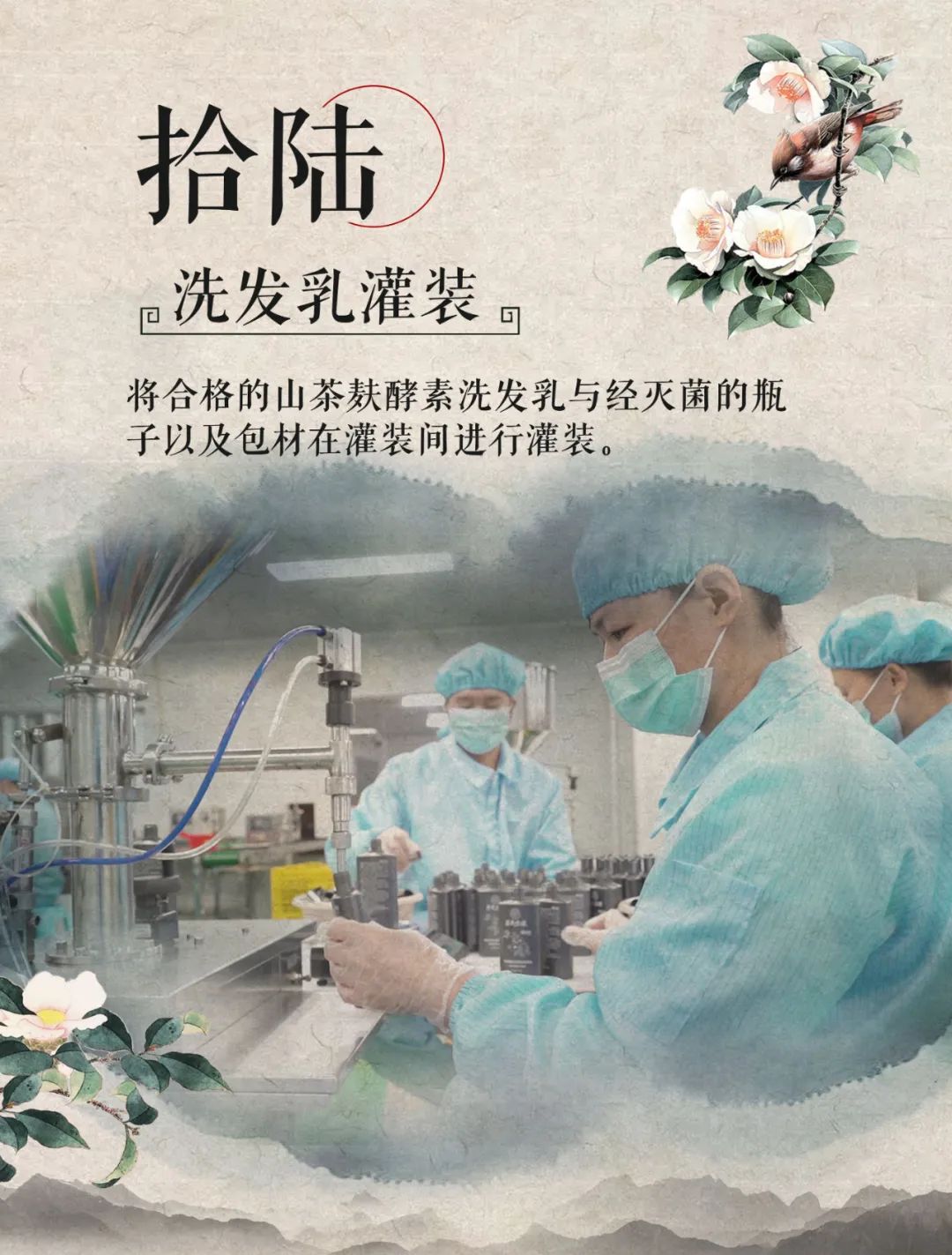 茶氏家族丨酵素洗发乳18道生产工艺流程图