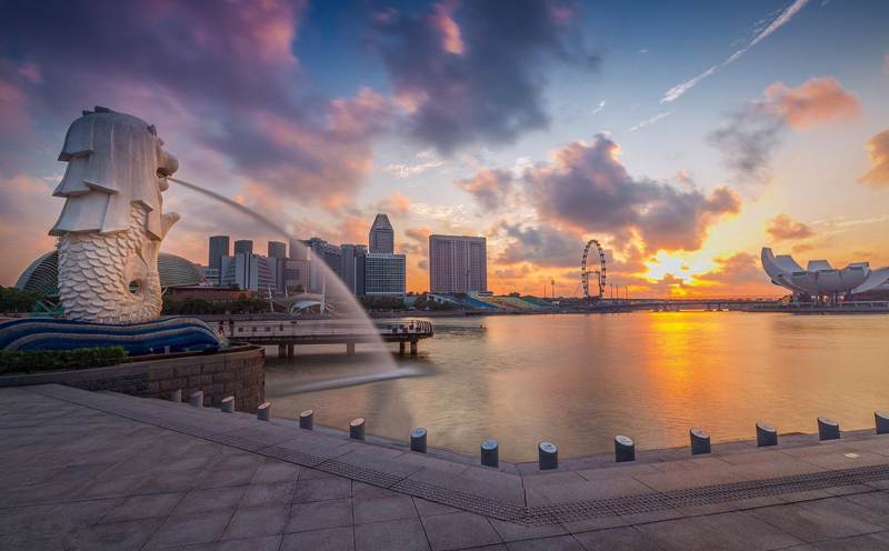新加坡自雇移民步骤详解