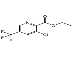 ETHYL-3-CHLORO-5-(TRIFLUOROMETHYL)PYRIDINE-2-CARBOXYLATE