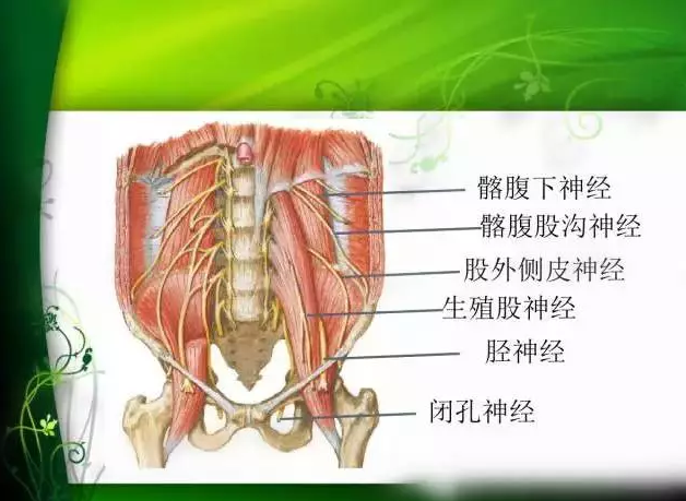 天民针刀解剖学班学习培训纪实