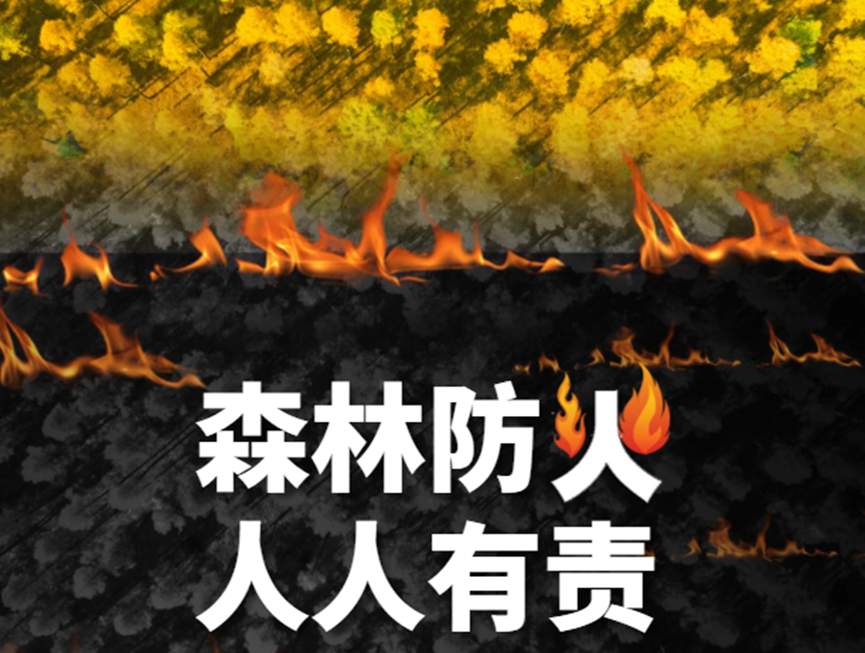 防山火在線監測裝置，摘除火災風險