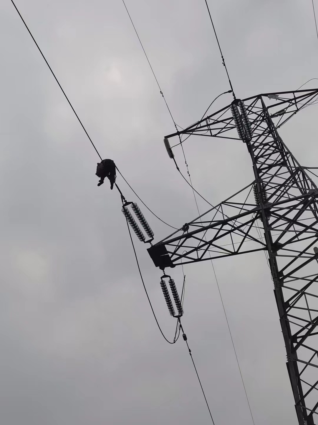 線輸電線路異常故障監(jiān)測(cè)，輸電線路分布式故障定位裝置