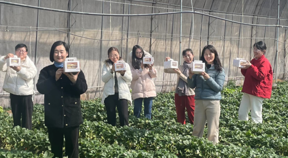 “莓”好时光，与你相约—淄明律所组织庆“三八”节采摘活动