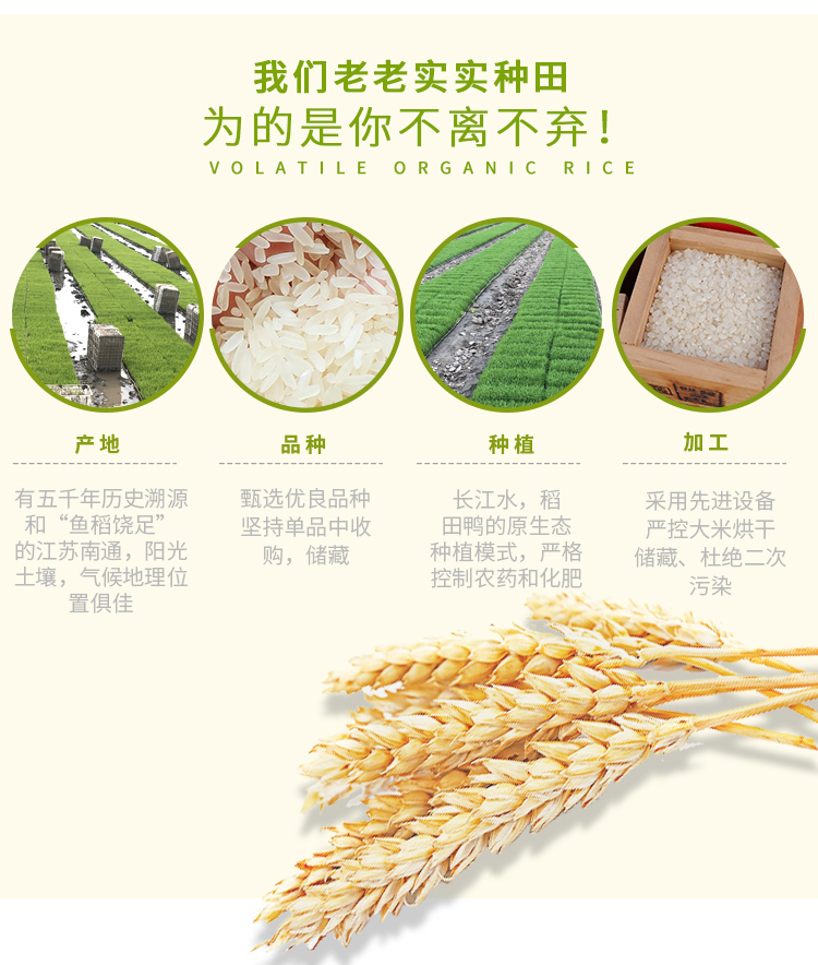贵州大米礼盒袋装